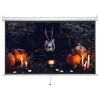 72in Diagonal 16:9 Manual Projector Screen