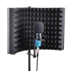 Studio Mic Relfexion Screen(big)