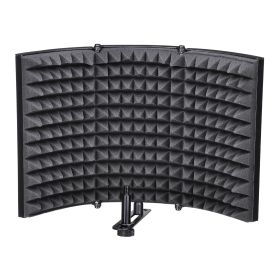 Studio Mic Relfexion Screen(small)