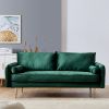 Velvet Fabric sofa with pocket