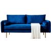 Velvet Fabric sofa with pocket